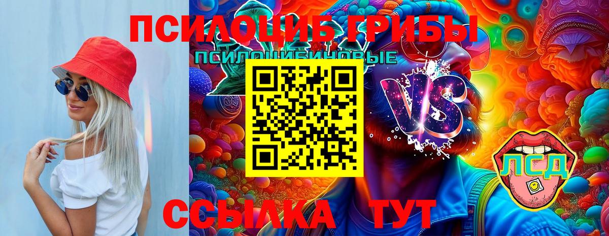 Псилоцибиновые грибы прущие грибы Кулебаки